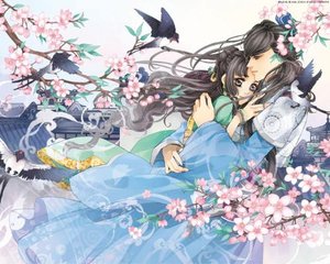 含羞草研究所2025最新入口